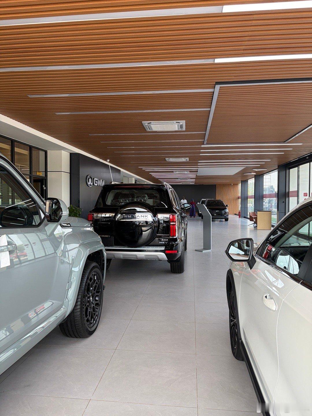 第一次见长城坦克700是在非洲