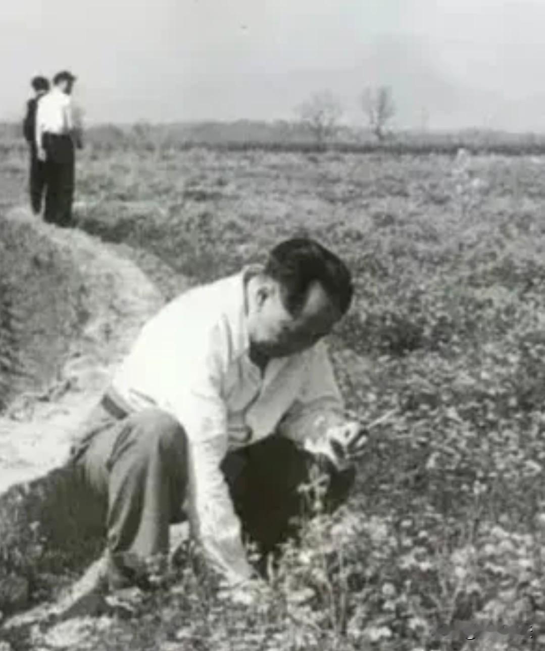 不画大饼，不喊空口号，不争权，不恋位，一心一意的为人办实事，办好事，让人民衣食无