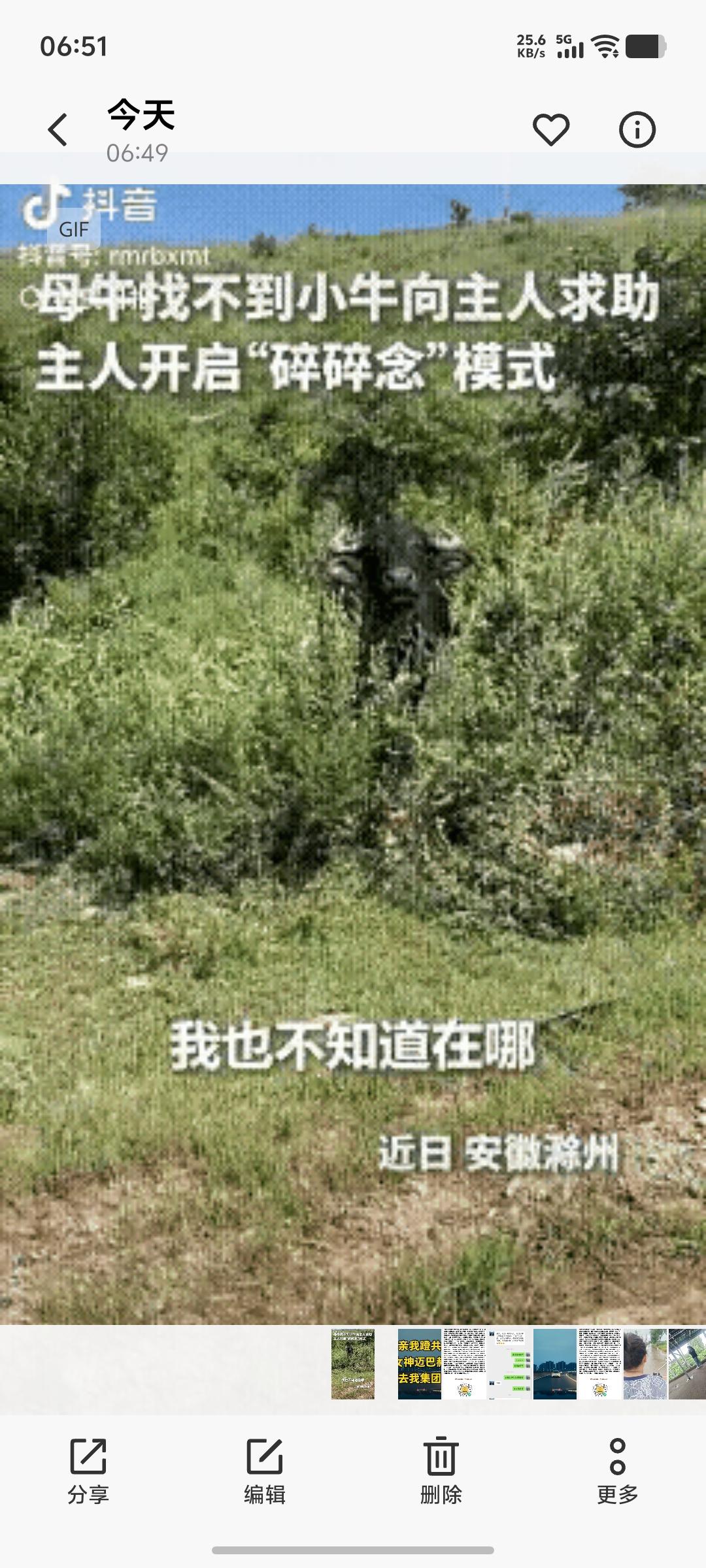 被人民日报转发的那场“寻牛父子局”安徽滁州的山坡上，最近出了件不大不小的新鲜