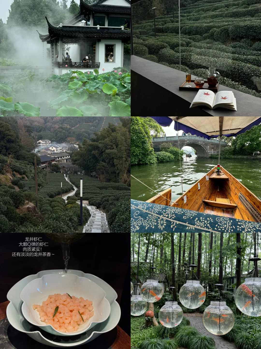 来杭州游玩！！我的建议是……！！！！