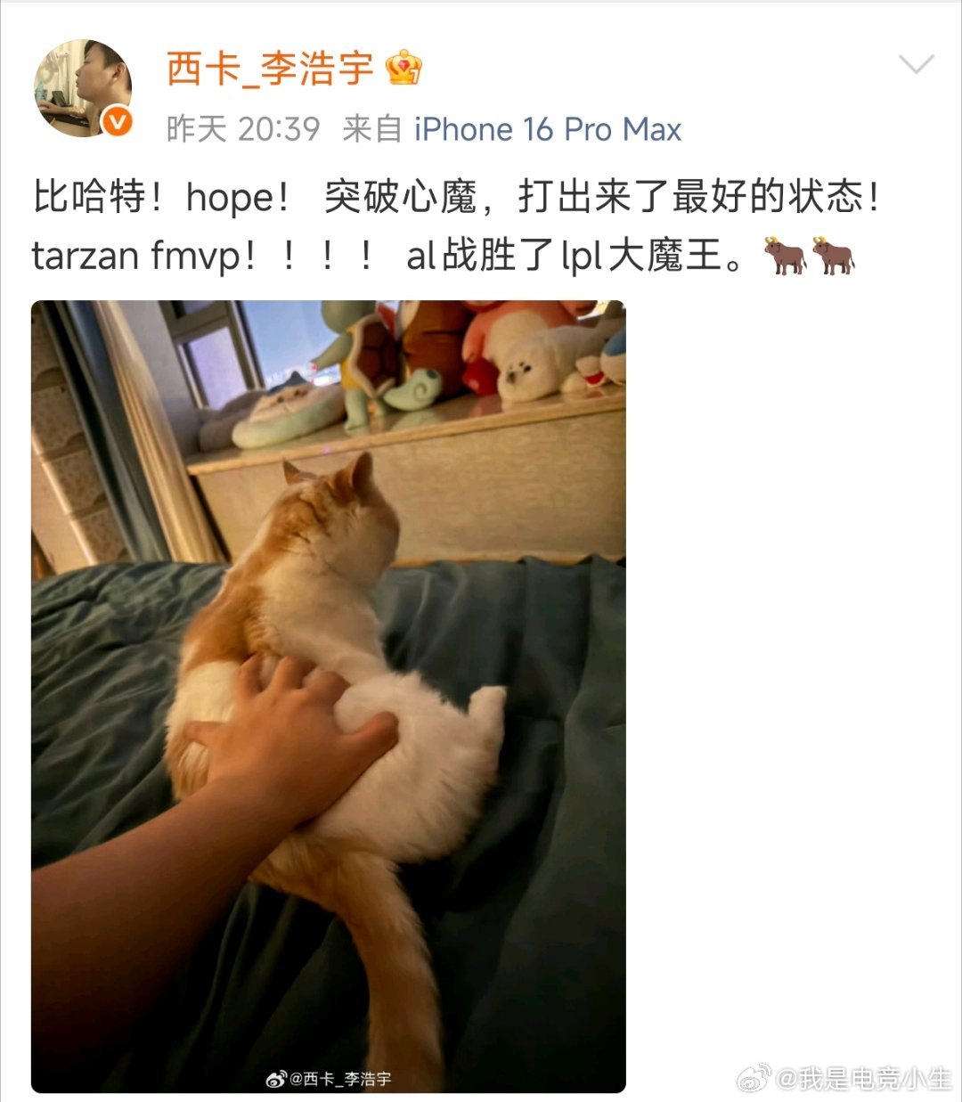 AL夺冠后，西卡发文：比哈特！hope！突破心魔，打出来了最好的状态！tar