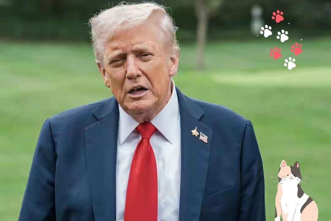 快讯快讯美国财政部宣布了!10月24日美国财政部发表声明,宣布对哥伦比亚总