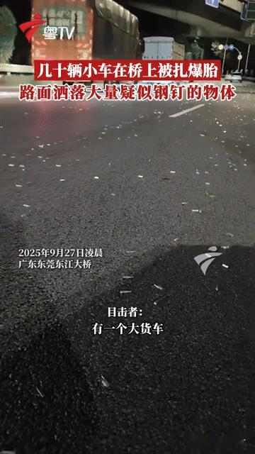 凌晨惊魂！东莞东江大桥几十辆车集体爆胎，路面“钢钉暗器”到底是谁撒的？“砰