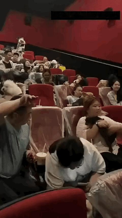 不要告诉我这是电影院？