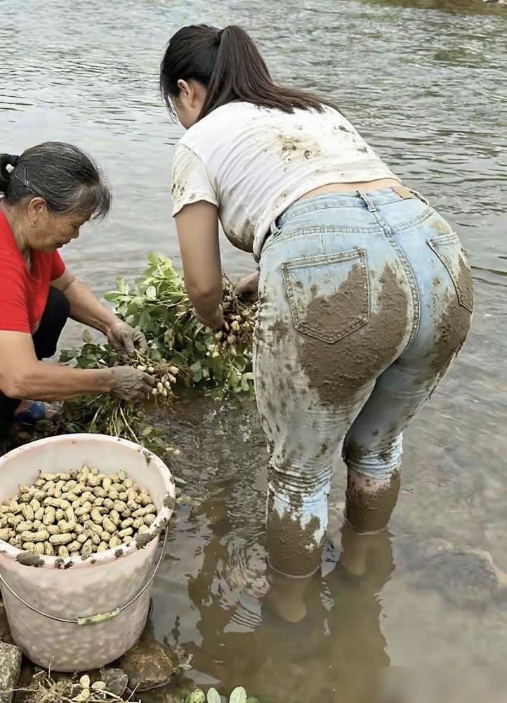 丰收时刻和奶奶一起在田间劳作，收获满满！🌾💪田园​看到这组照片，心里