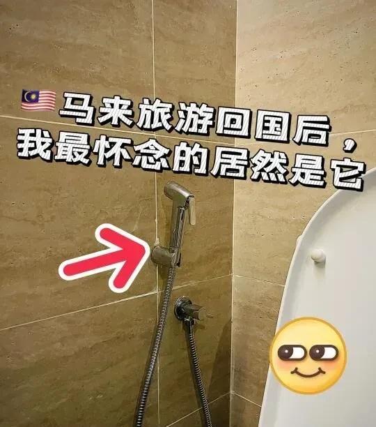 在马来西亚或新加坡旅游大家上厕所应该都会看到这个东西。因为不知道这玩意儿到底怎