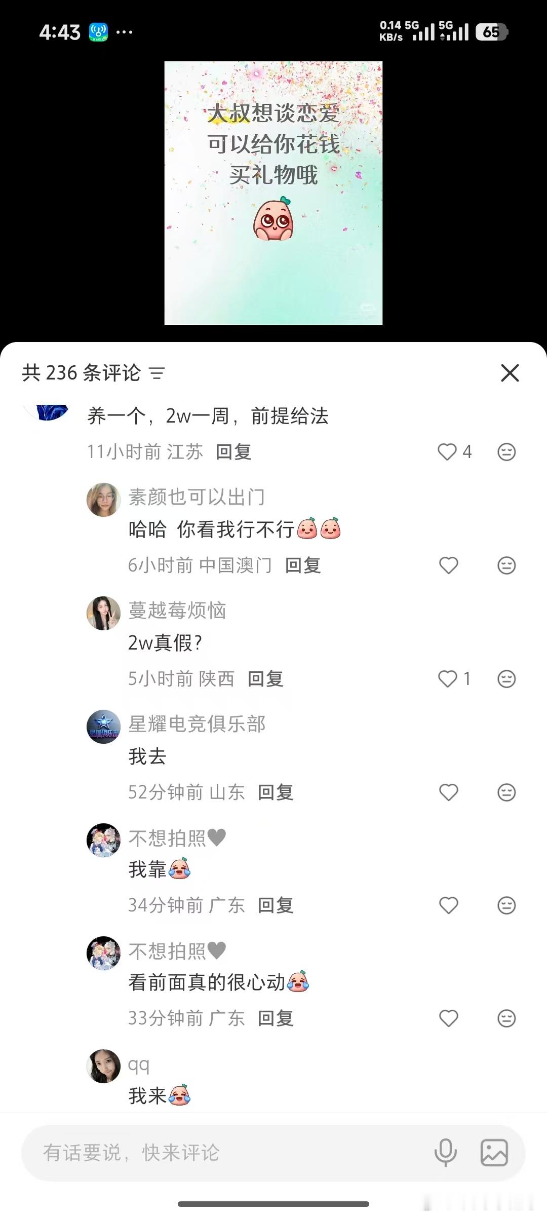 这算啥？合法鸡窝？