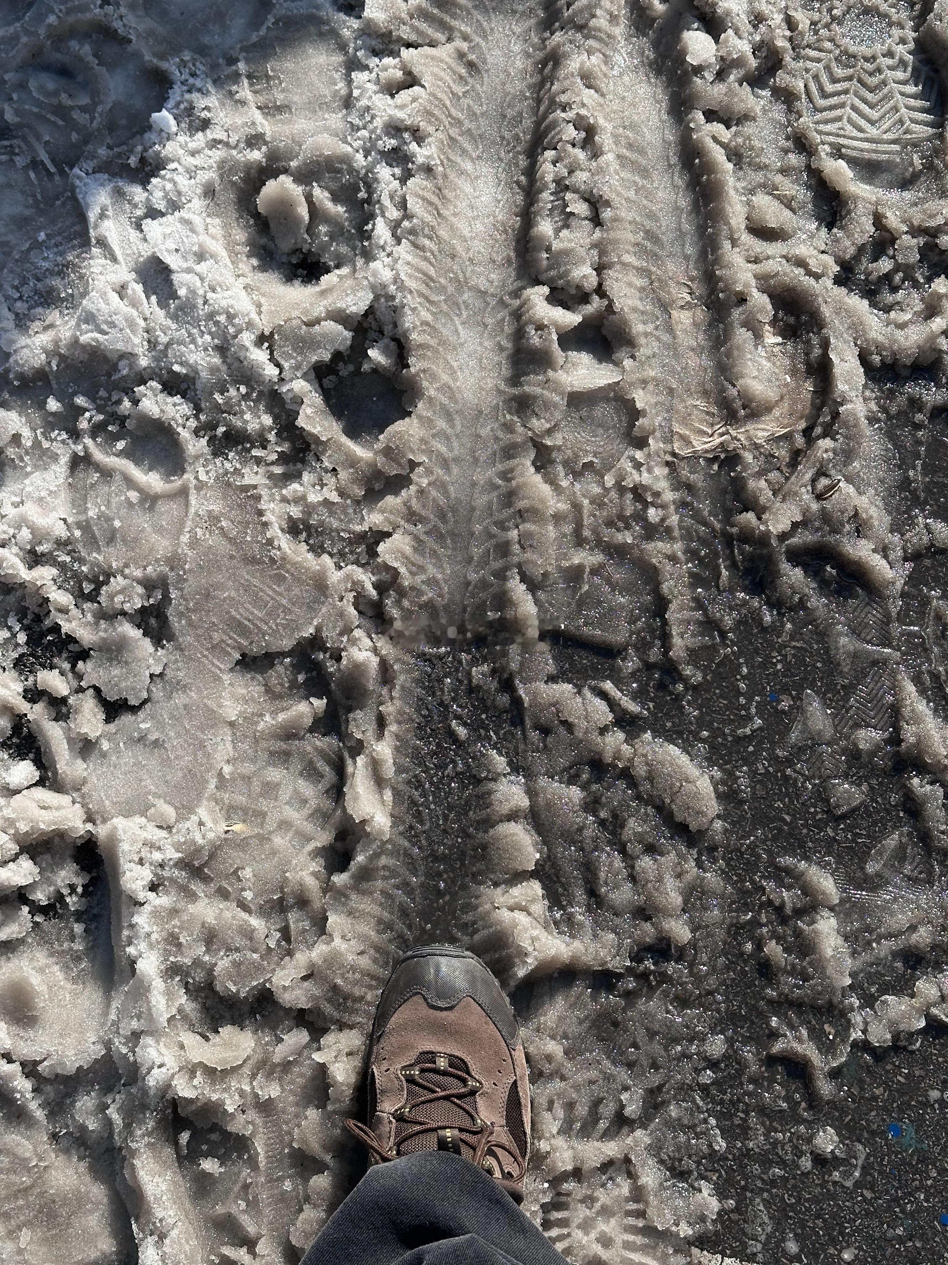 大雪美景也是有代价的