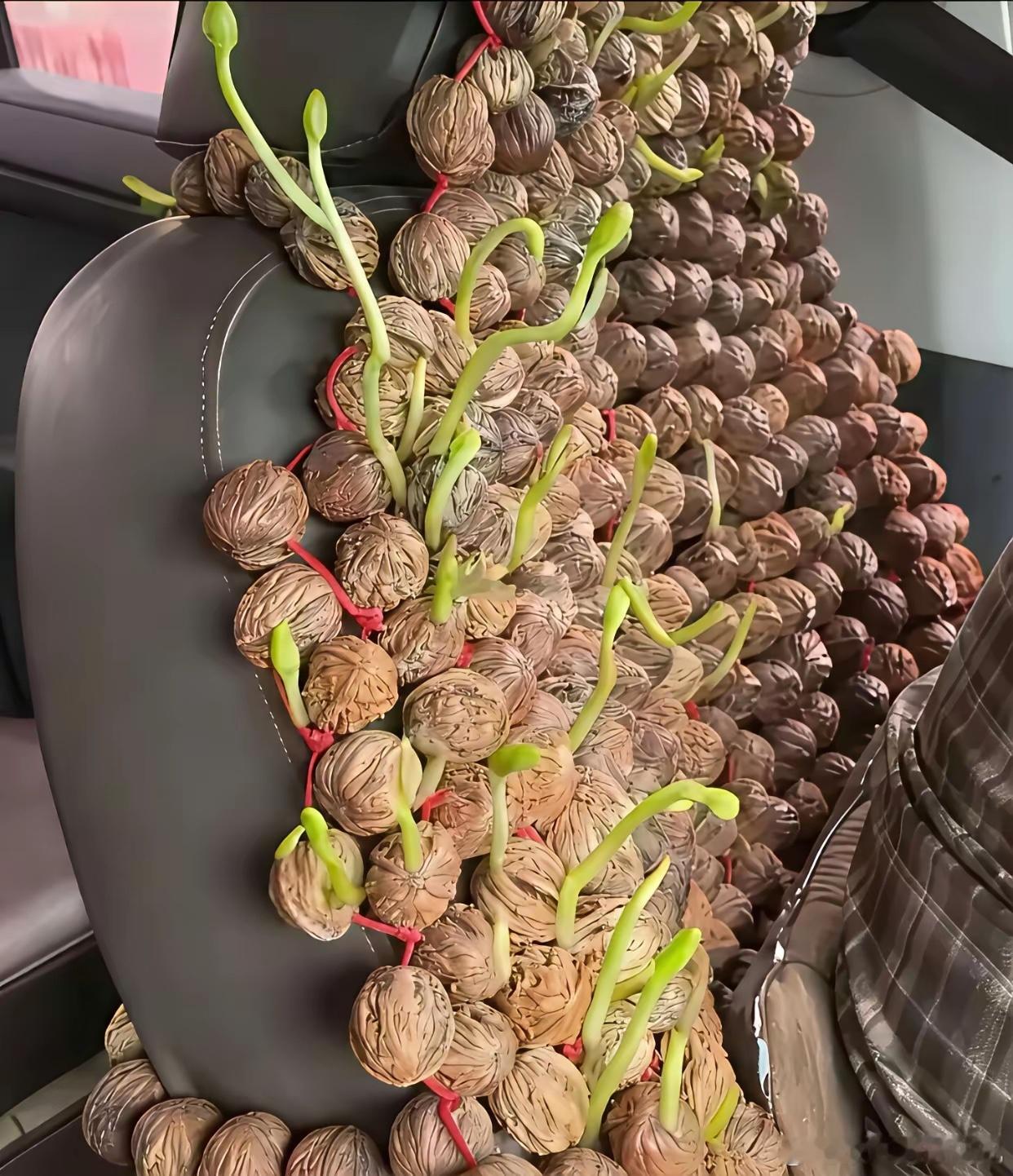 这个司机的心是有多大