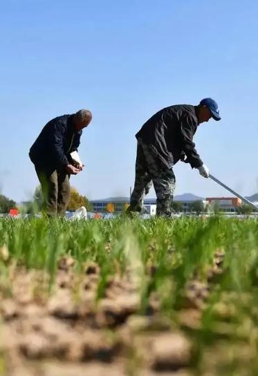 现在我们国家有一个非常矛盾的问题，都知道农民种地不赚钱，但粮食却不能涨价，因为粮