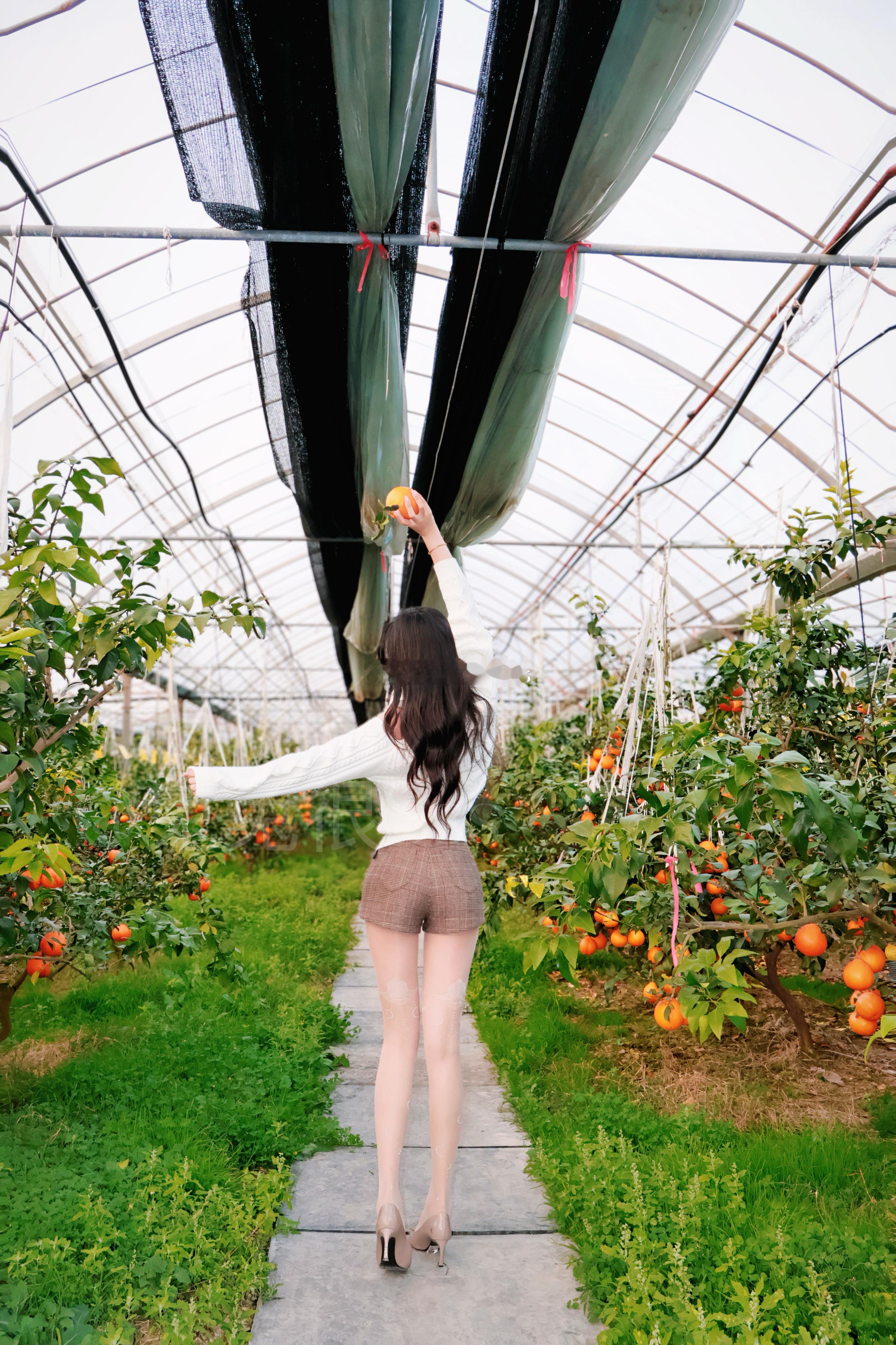🧑🌾体验一天农场主白色露肩毛衣&格纹裤&绫（月蚀）太甜辣！如同红美人一般绫l
