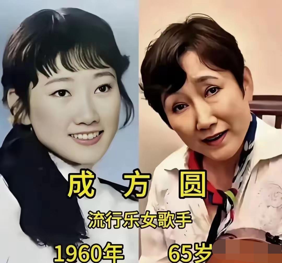 岁月匆匆，成芳华容颜老去，董文华淡出舞台，李双江满头白发，王玉珍也腰背佝偻。可每