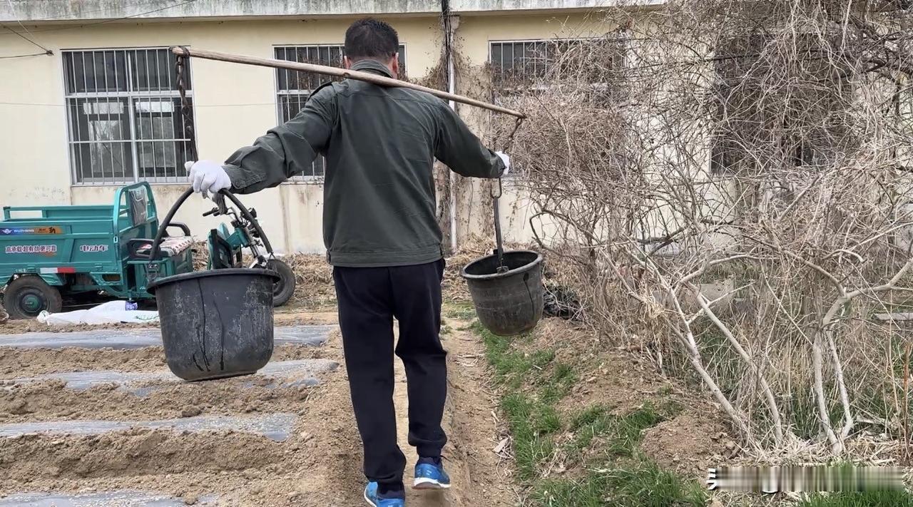 大家有没有想过，我们平时吃的食物，其实和地球的健康紧紧绑在一起？常规农业大量用