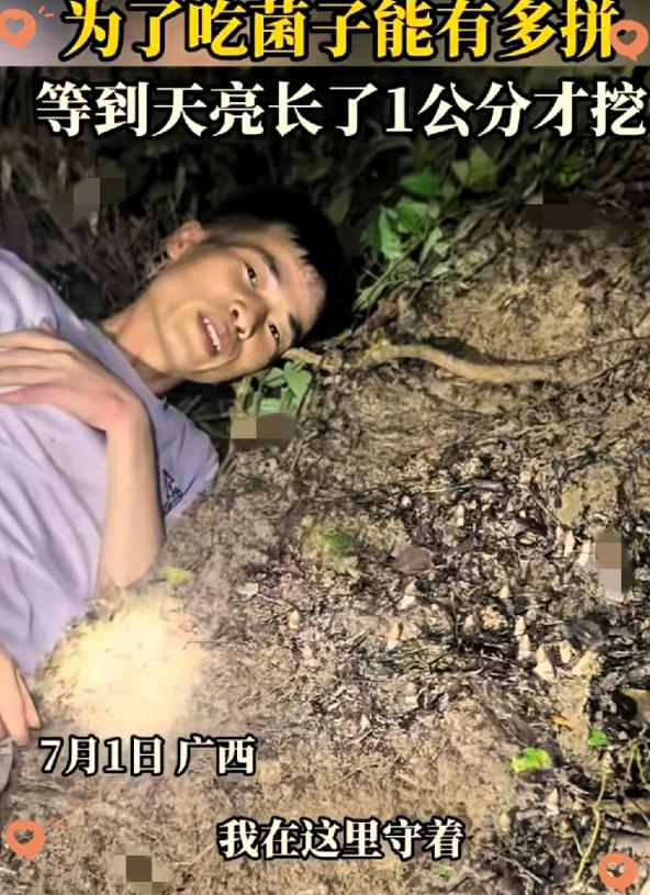 “太拼了”！广西，一男子晚上和朋友进山找菌子，发现一窝鸡枞，他觉得个头太小，但又