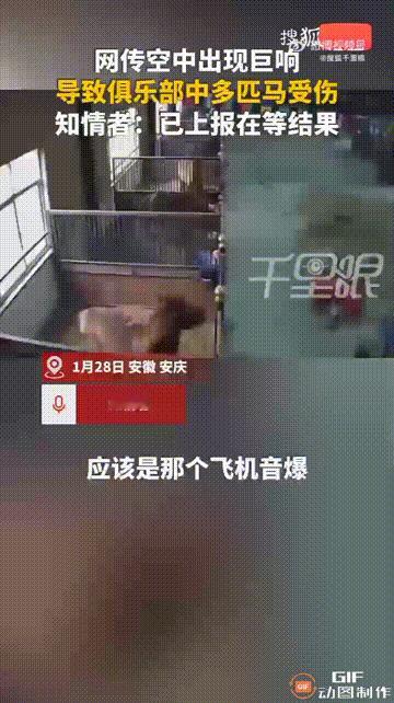 “这几只小马太可怜了！”安徽安庆一家俱乐部内，由于空中突然传来一声巨响，导致马厩
