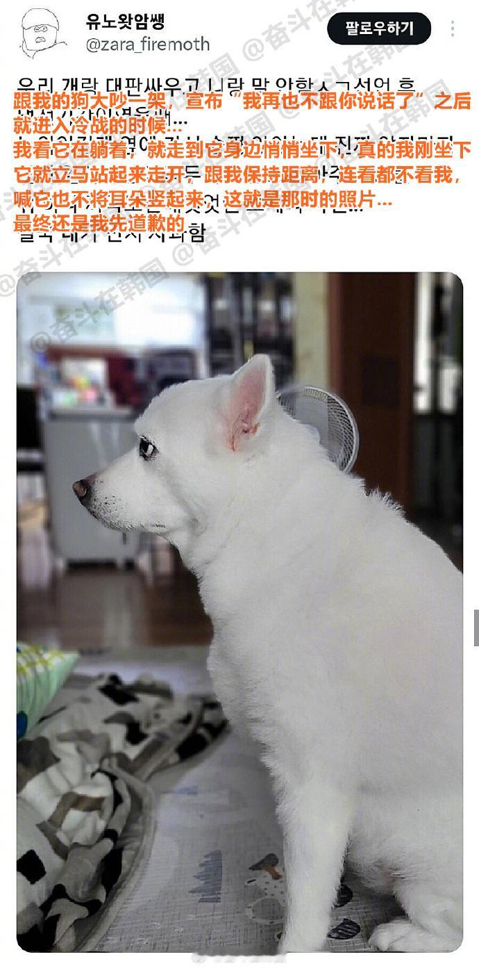 跟小狗大吵一架又和好的后记海外新鲜事热点现场