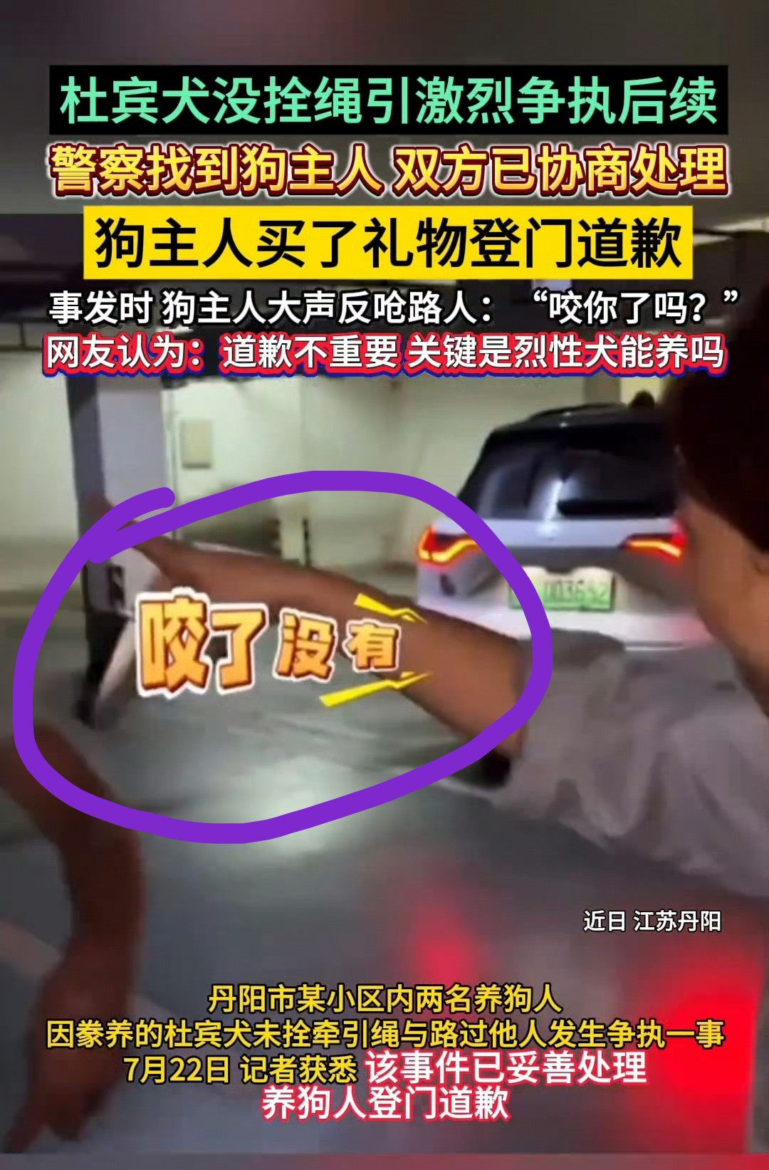 咬了没有？狗处理了没有？
