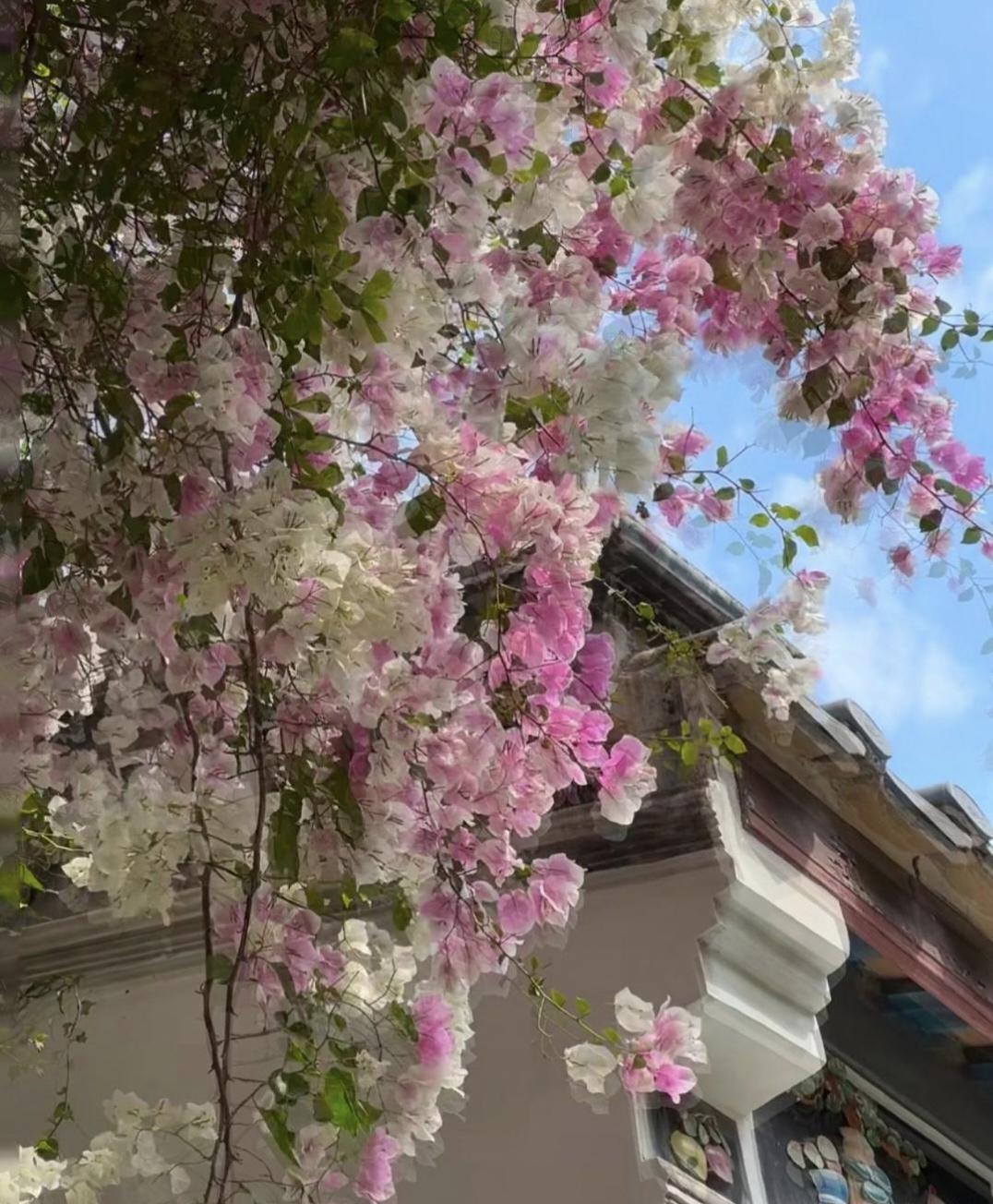 2020年，我体质弱，抵抗力差，睡眠也不好，在大白的建议下，开始慢跑，坚持五年多