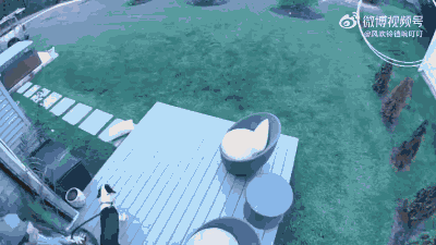 人类终究拦不住一只社牛小狗！