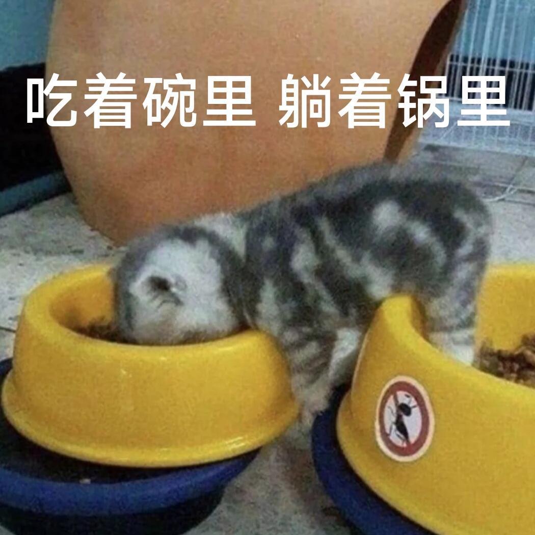 后知后觉这个嘉人好赚吧，终于拍到女神迪丽热巴，收获了一刊非常精彩有水准的三封面，
