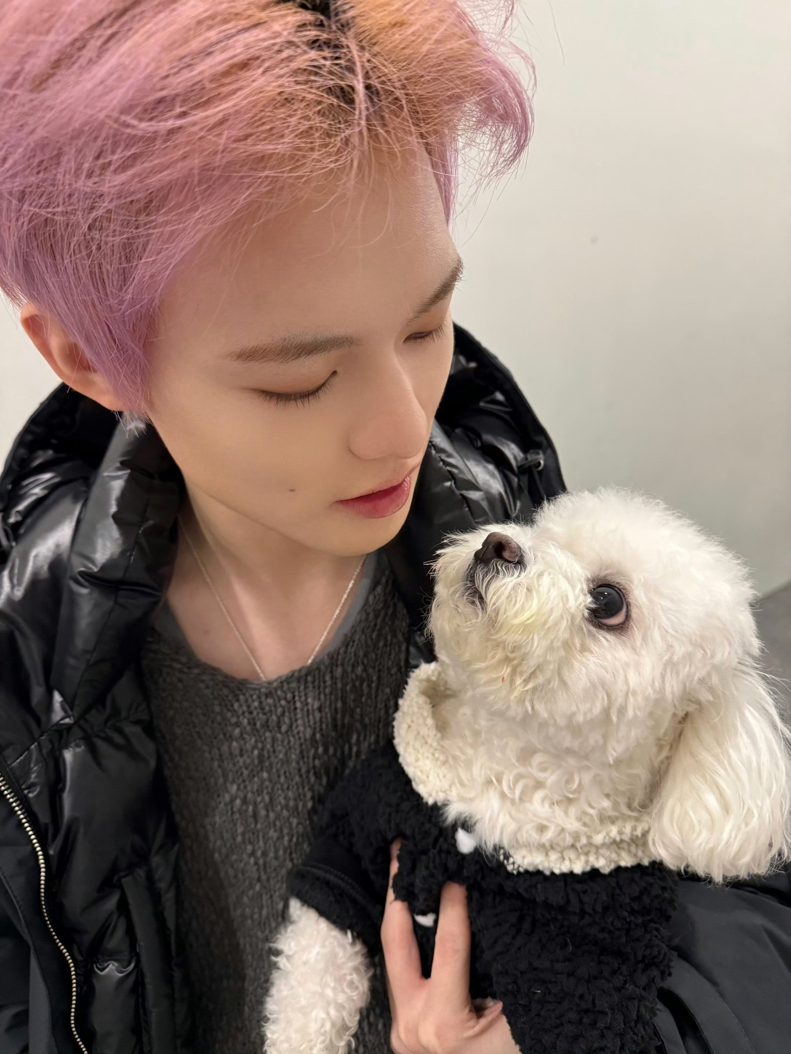 NCT钟辰乐家的狗狗大头减肥前后对比p1减肥前vsp2减肥后减肥理