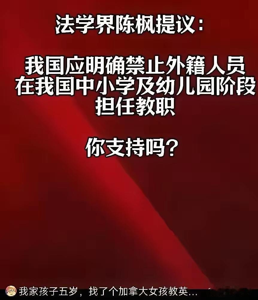 外籍人士中小学教学限制建议热议解释不清了！法学界人士陈枫公开提出建议，主张