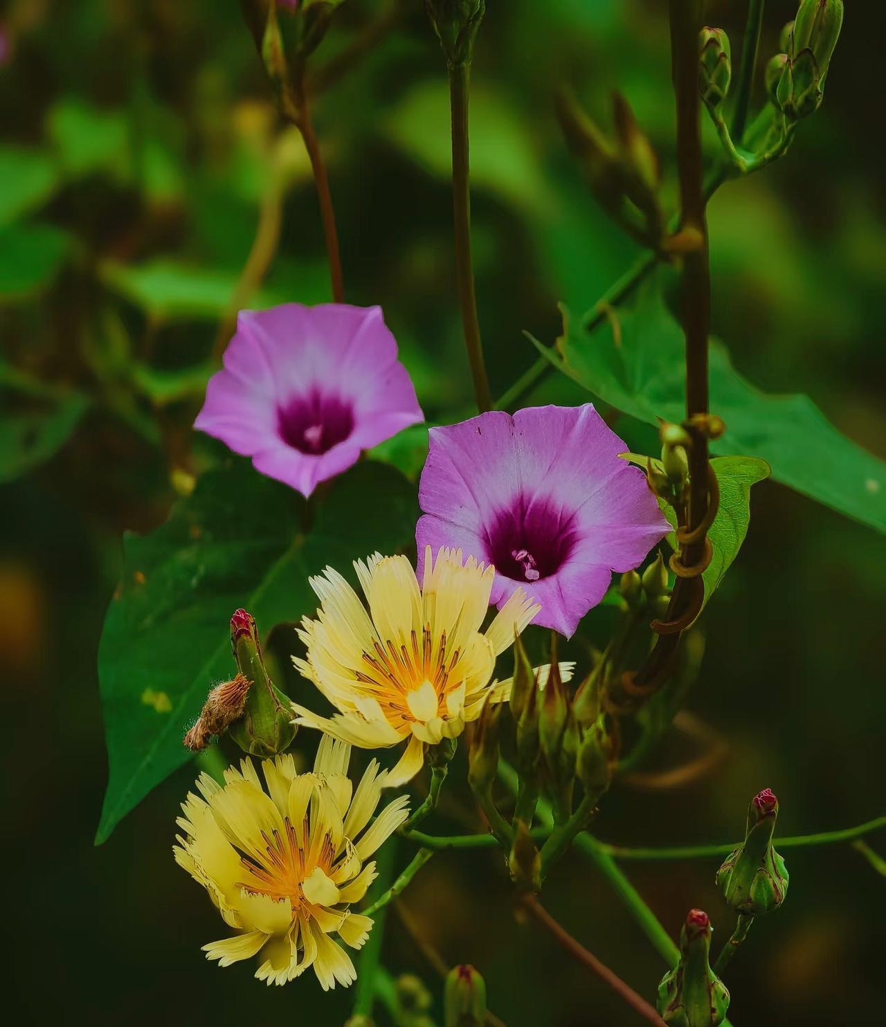 ：）“追女人一定要快，手快有手慢无。​只要是你惦记的女人，其他男人一定也惦记。追