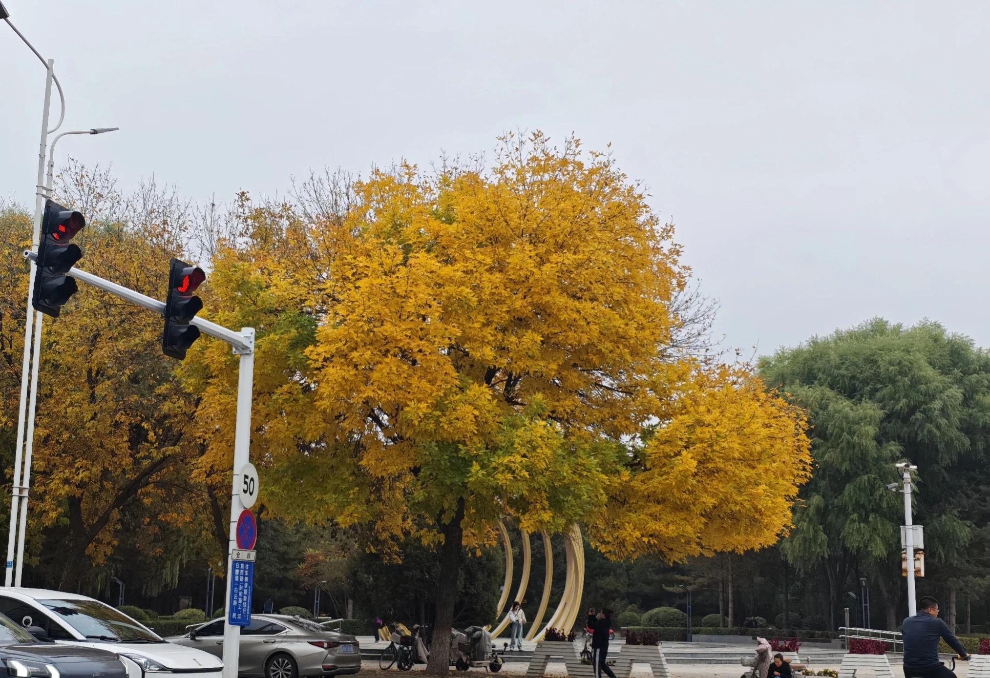 什么叫人情世故：1、饭局上，领导说：“加个微信”！老实人说：“我扫...