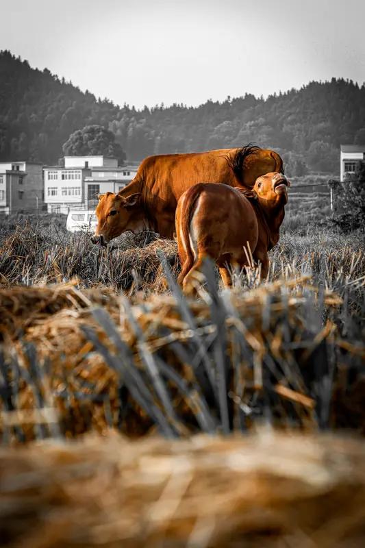 弄懂了五个为什么？才能在股市赚钱，并且知道自己是怎么亏损的。第一、为什么