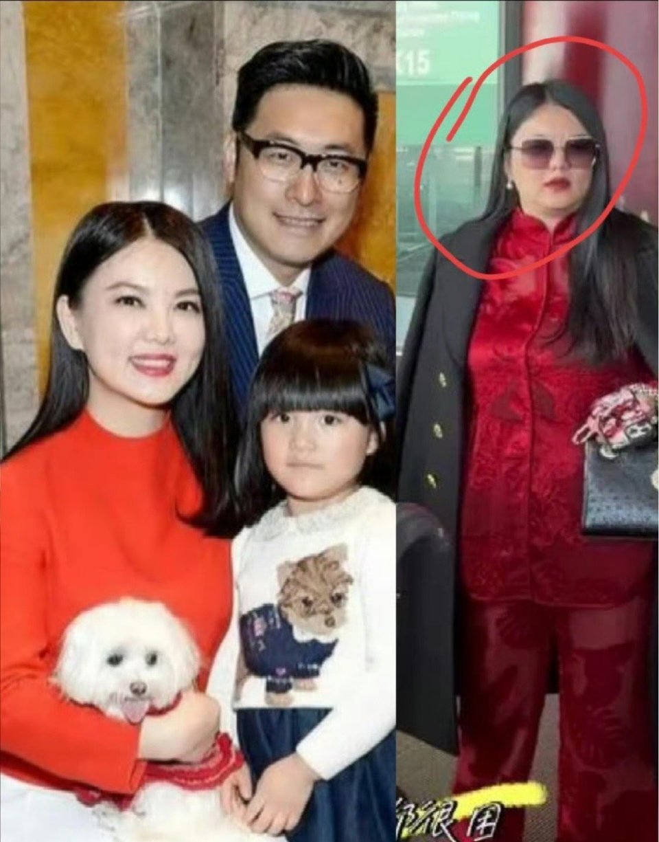 李湘近照，富贵有点具象化了…现在就是妥妥的女强人范啊​​​​