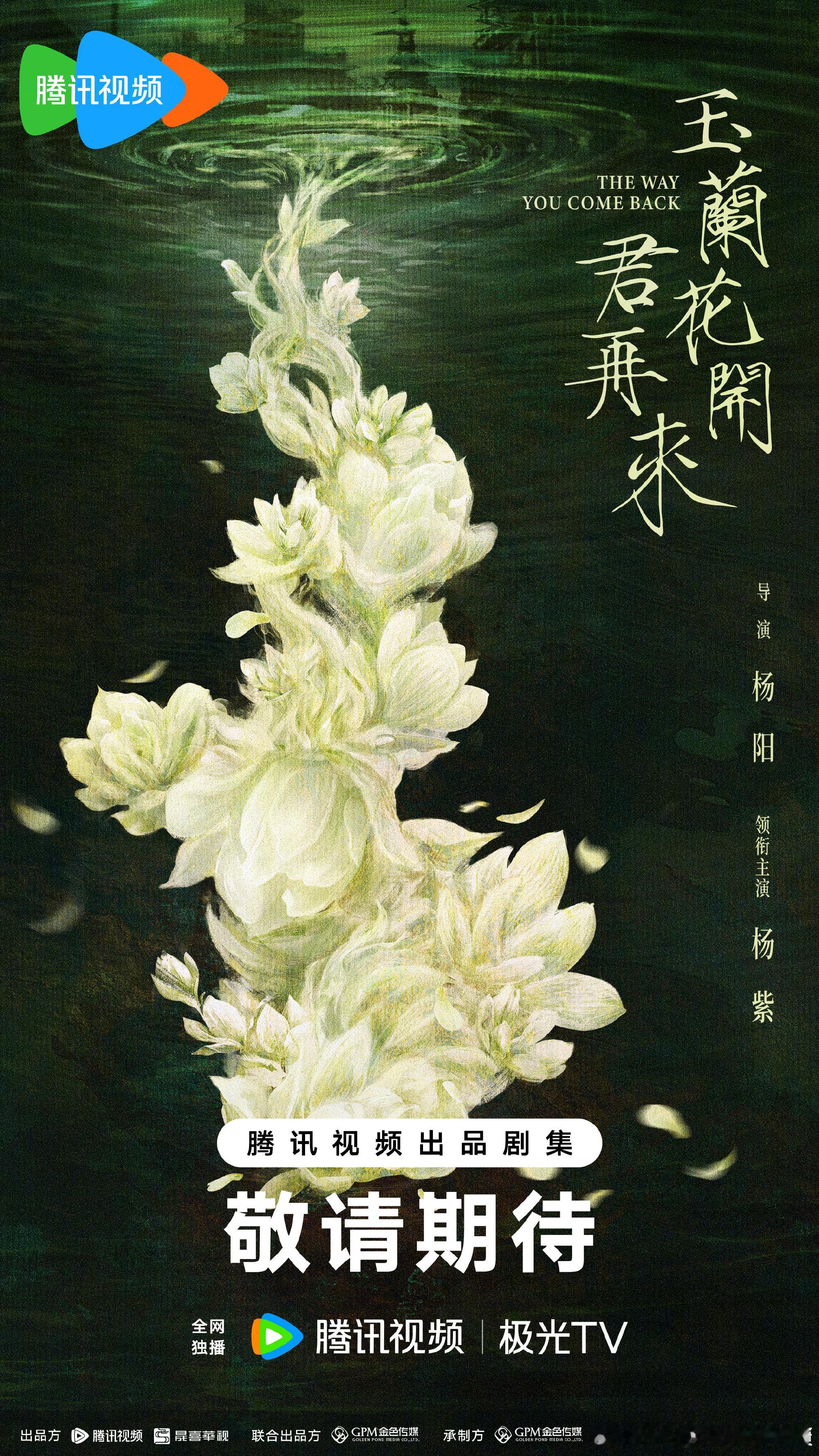 腾讯三个大饼官宣《玉兰花开君再来》杨紫《剑来》吴磊《风禾尽起张居正》胡歌张居正