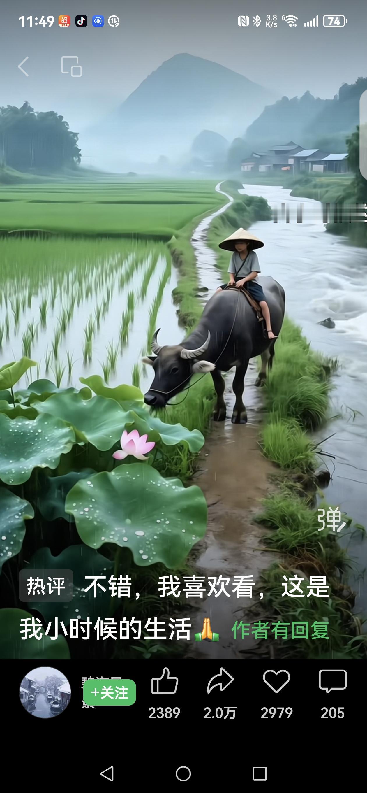 七律《叹流年》青丝白发一瞬间，年华老去向谁言。浮生碌碌风尘里，旧事悠