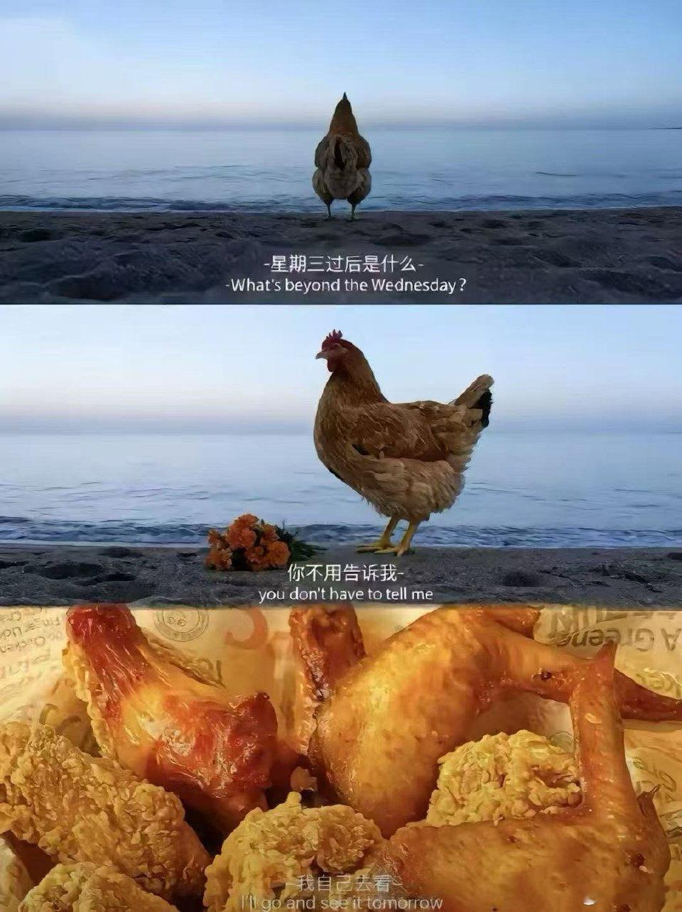 今天是疯狂星期四，评论区抽一个小可爱V你50