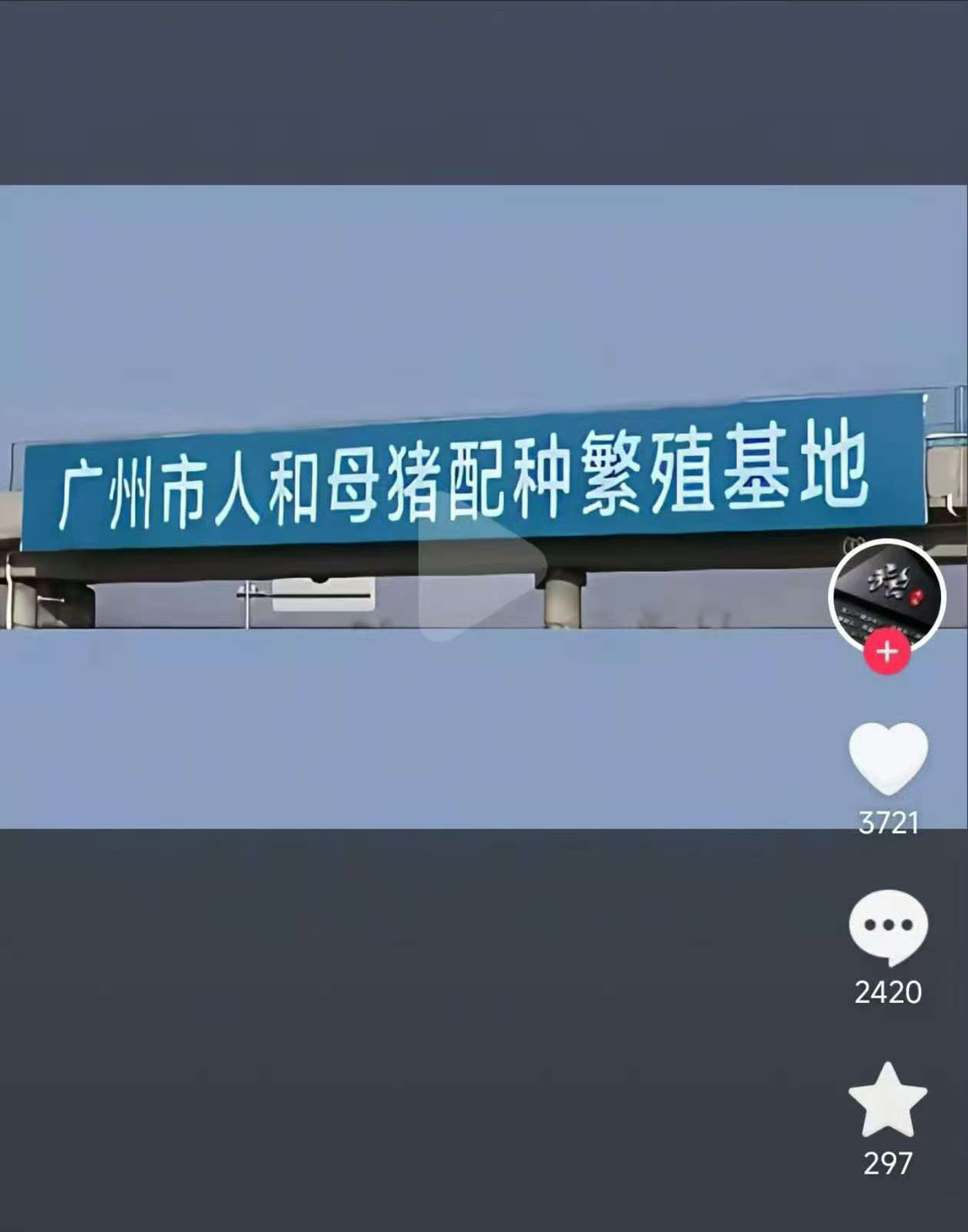 不至于……咱真的不至于[捂脸哭]​​​