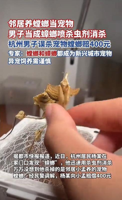 浙江杭州，一男子在家门口看到两只大蟑螂在爬，于是立即用杀虫剂将大蟑螂杀死了。万万
