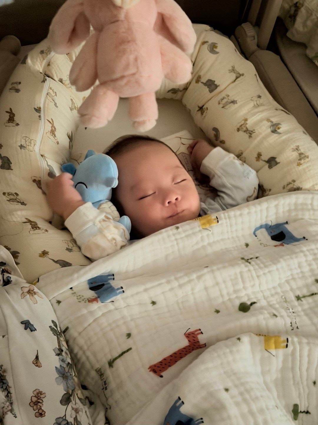 睡着睡着就长大啦我的新年手机壳