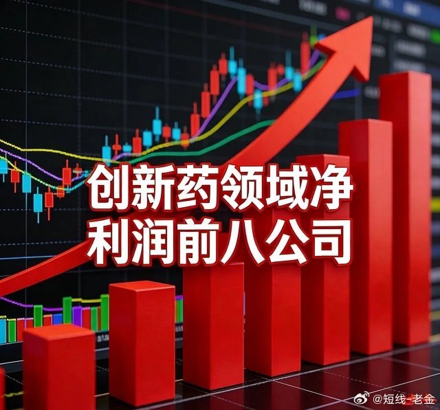 创新药领域净利润前八公司1. 药明康德（603259）2025净利润：191.5