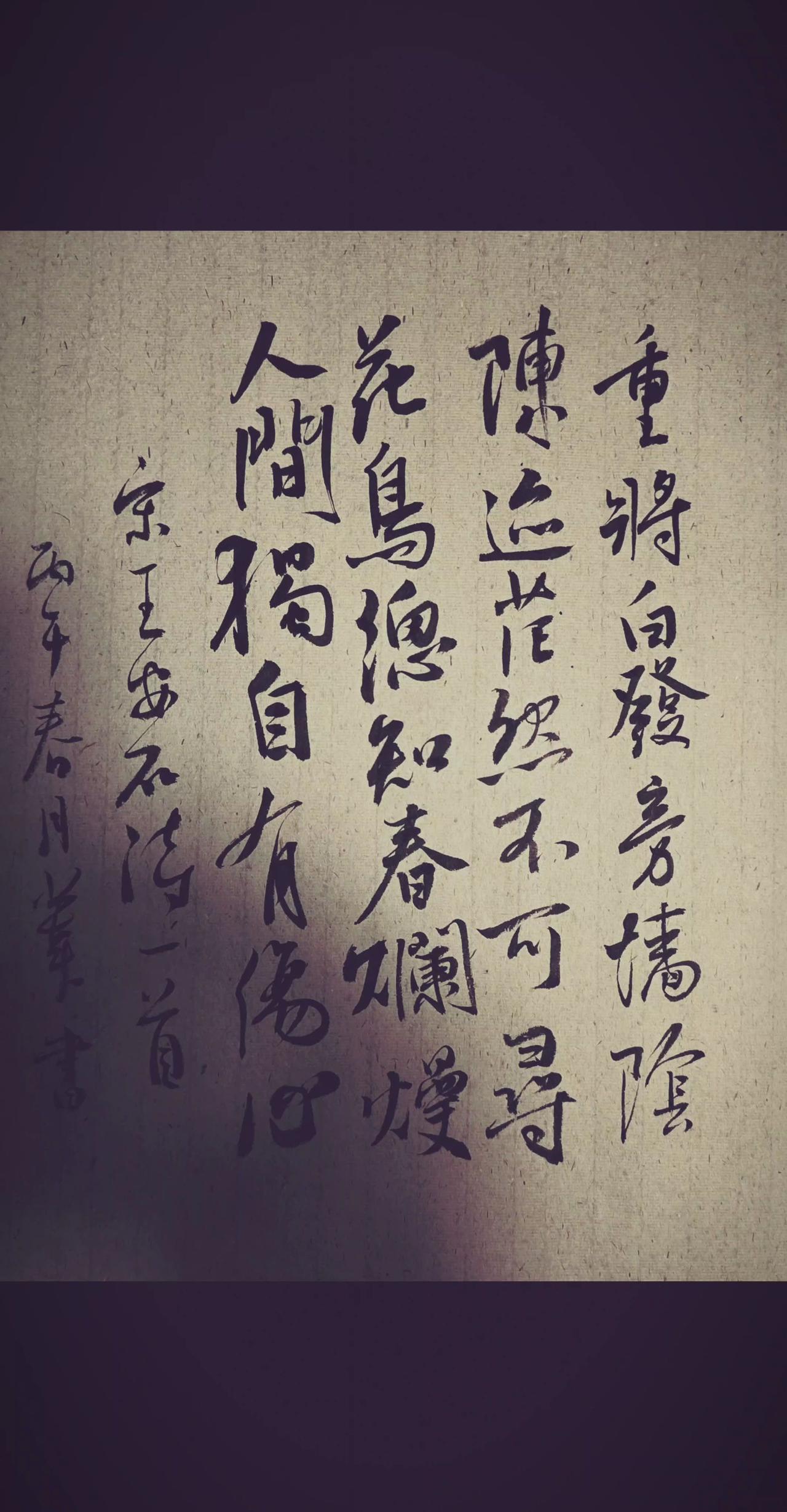 重将白发旁墙阴，陈迹茫然不可寻。花鸟总知春烂熳，人间独自有伤心。王安石