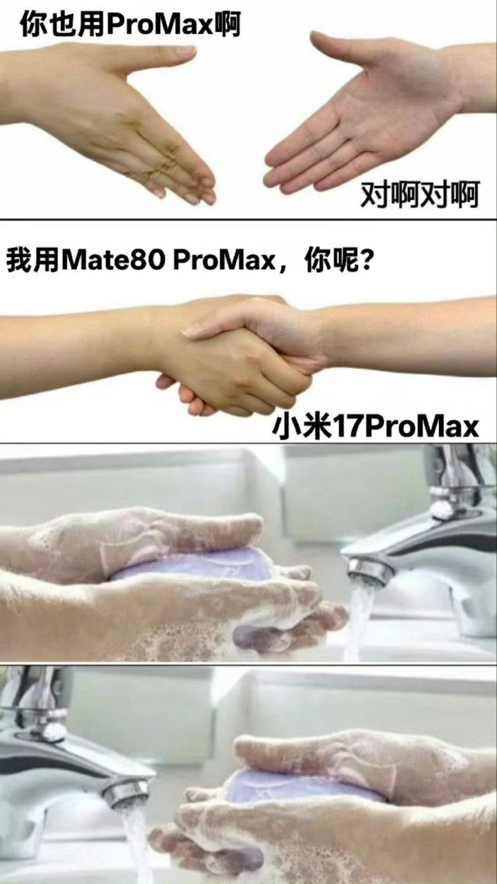 哈哈哈谁做的图，都是ProMax，谁也别嫌弃谁啊