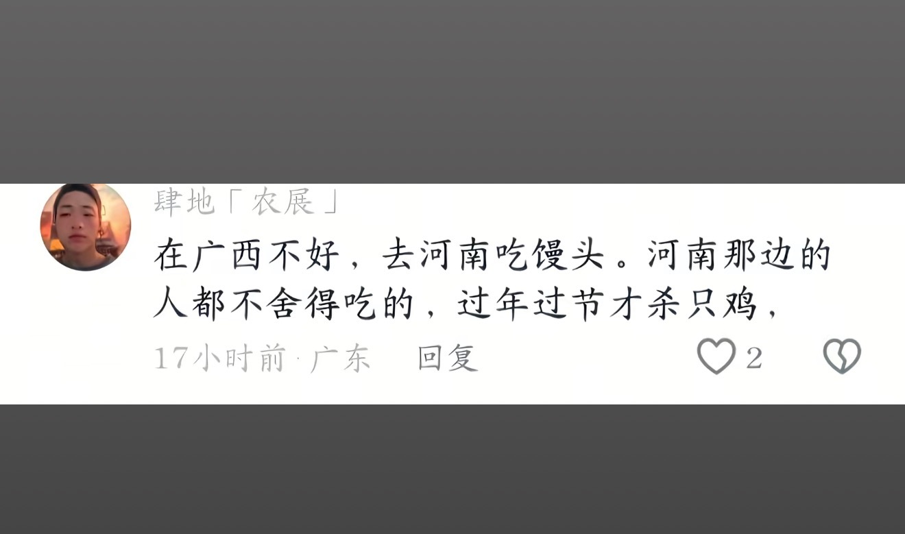 作为河南人，该如何回复他一个网友评论“在广西不好，去河南吃馒头。河南那边的人都不