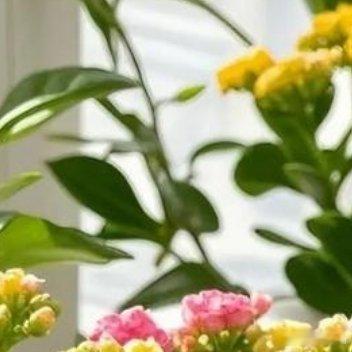 不为难自己，不辜负岁月。时光，浓淡相宜；人心，远近相安。好好爱自己，把期望降低，