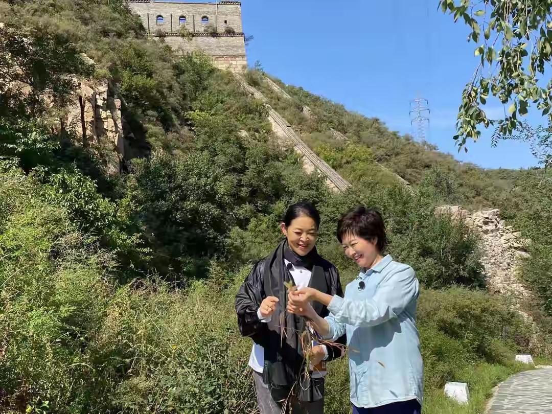 白岩松水均益去送别敬一丹，我看到了不舍。朱军、周涛、董卿去悼念敬一丹，我看到了