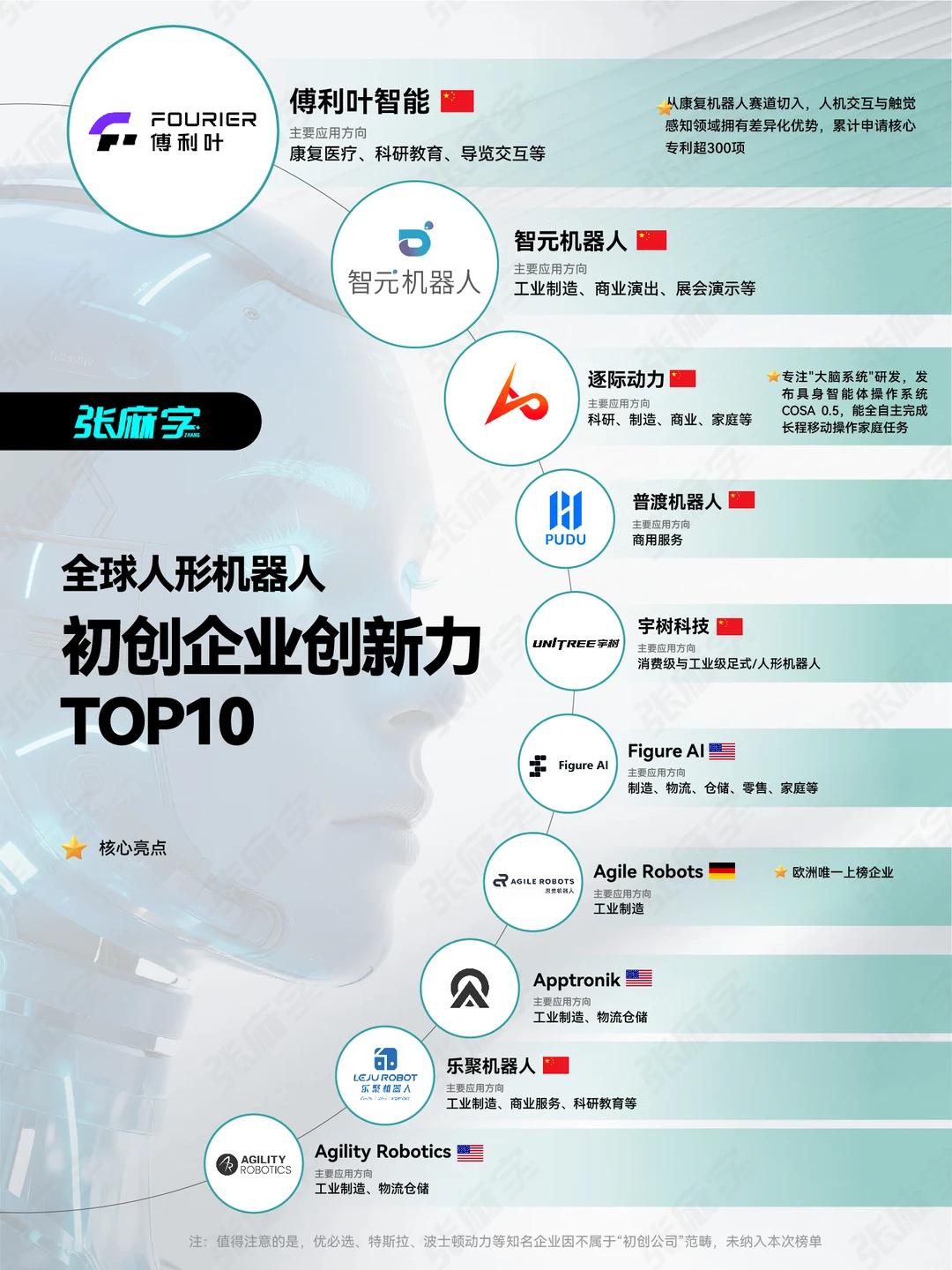 全球人形机器人创新力TOP10