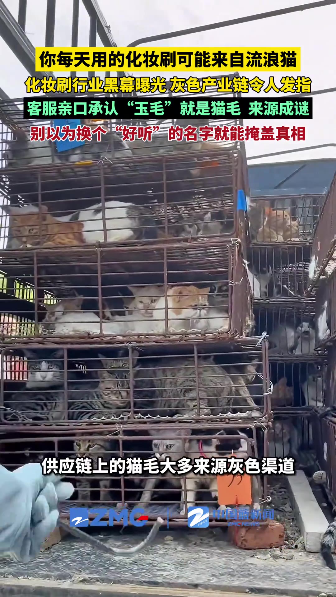 广东深圳，多名网友近日爆料：有化妆刷厂家在刷毛材质里标个「玉毛」「黄绿毛」的名头，消费者一追问，客服