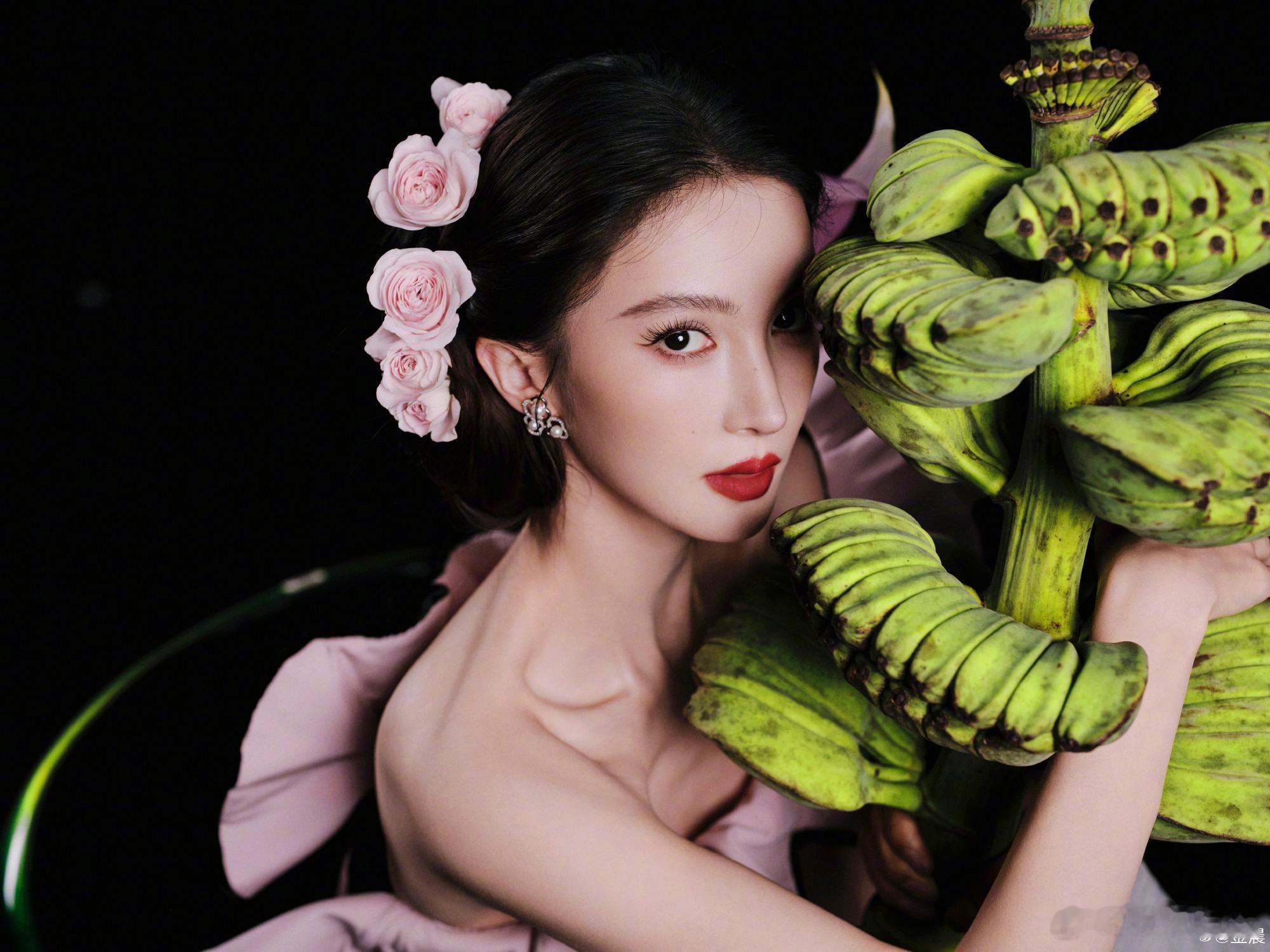 金晨发博道歉金晨称已全额承担交通事故费用金晨发博就去年3月的交通事故及后续