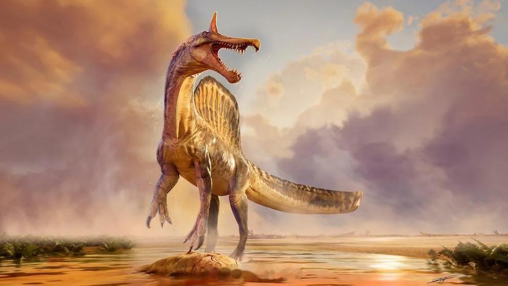 科学家在撒哈拉沙漠深处发现新恐龙物种