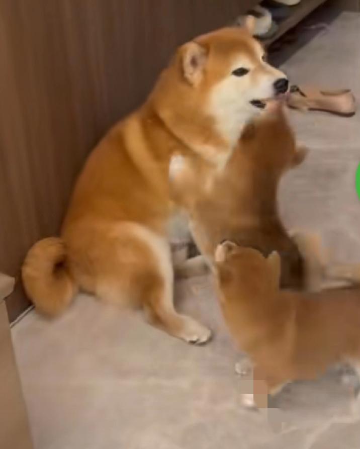 一位老人过世了。临走前，儿子问母亲有什么心愿？老太太说：“不知道有没有来生，如果