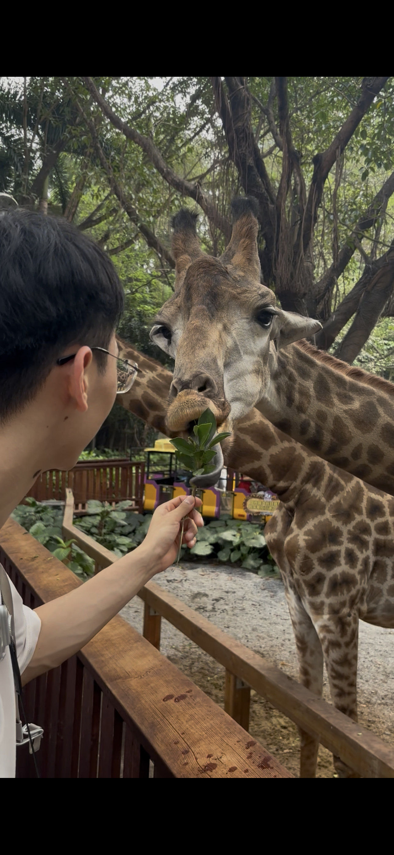 雷兰曦🍠更新：🦒🐅🦌🐾借用一句话“人生那么多事情，为什么一定要有意义
