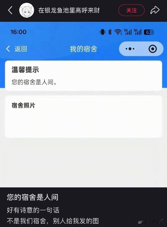 太好了，分到了人间😑