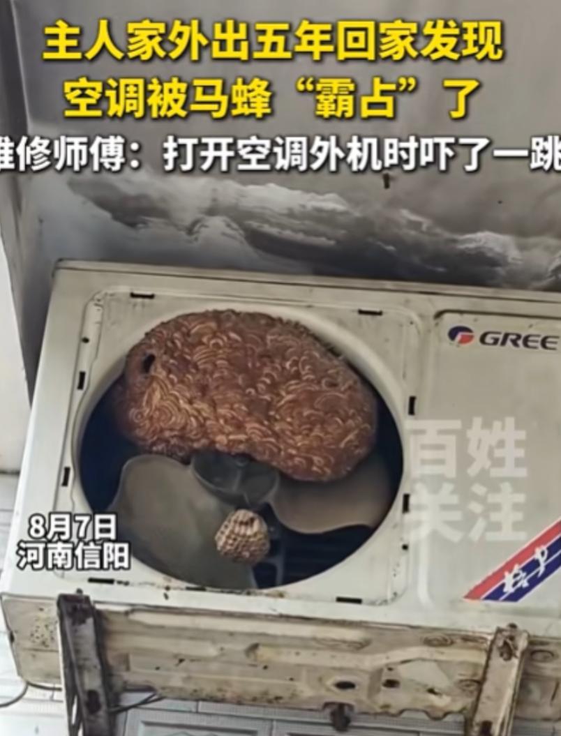 “太可怕了！”8月7日，河南信阳，一男子外出5年没回过家，到家后发现空调不好用了